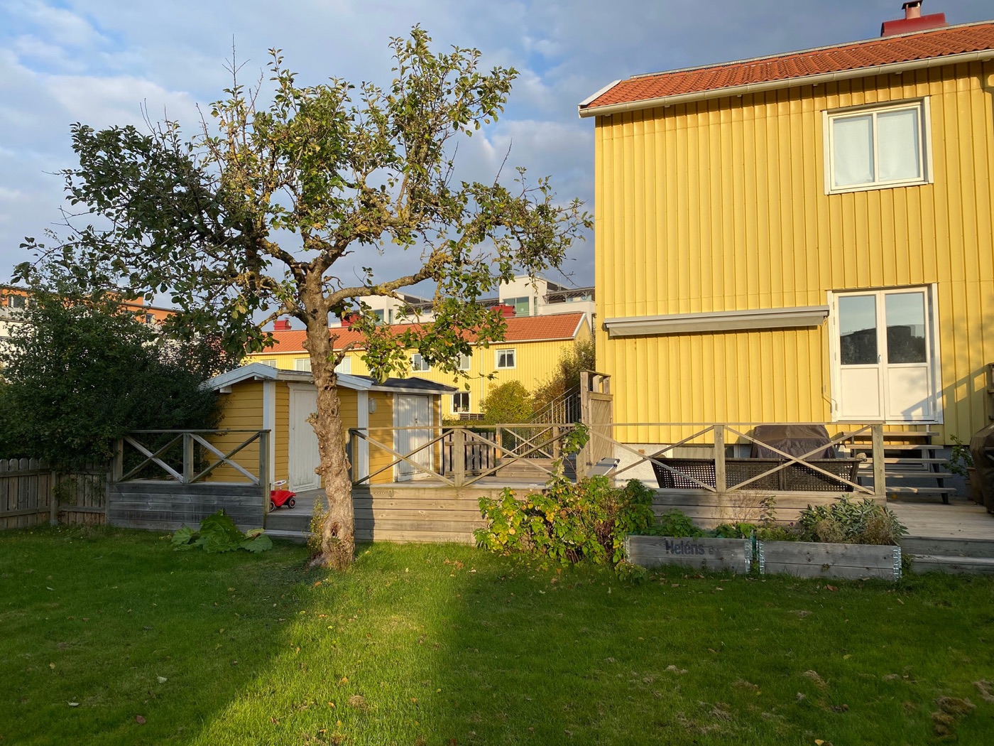Gepflegter Garten mit Obstbaum neben einem Wohnhaus