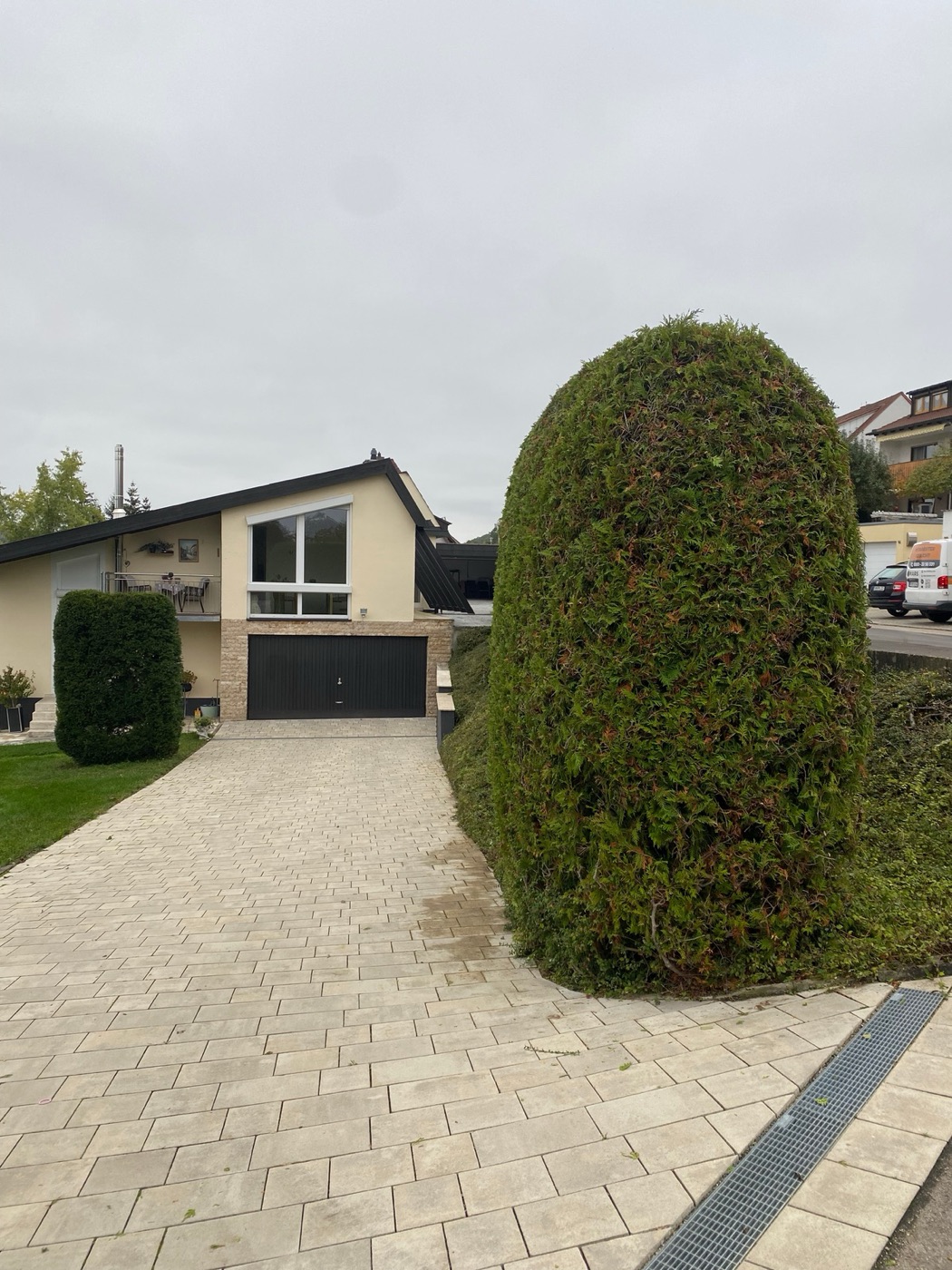 Sauber in Form geschnittene Heckenpflanze vor einem Wohnhaus