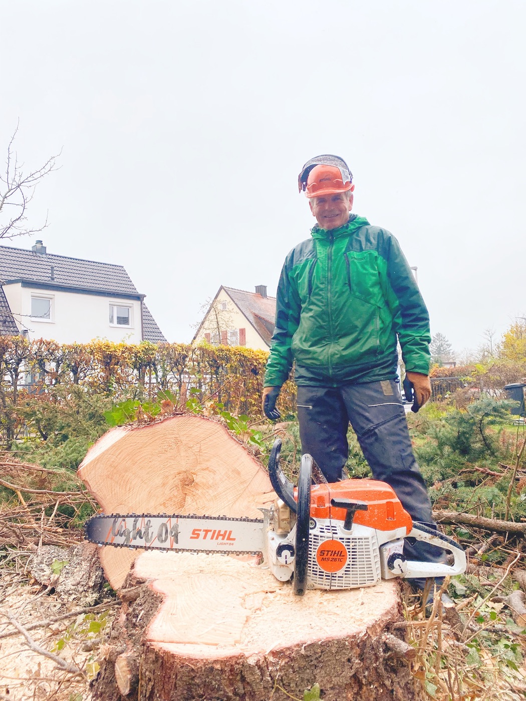 Erfahrener Baumpfleger mit Motorsäge auf einem großen Baumstumpf